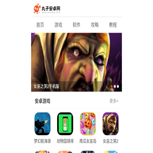 丸子安卓网