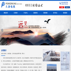 扬州大劲电机制造有限公司