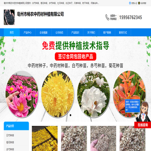 牡丹种苗价格