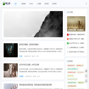 风之谷网络