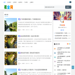 限行网