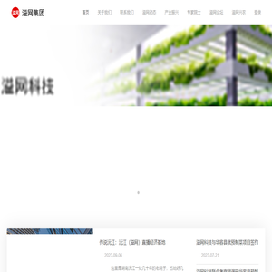 溢网科技集团