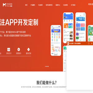 软件开发