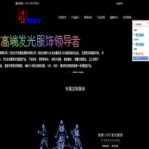 LED发光服装