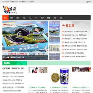 看报网