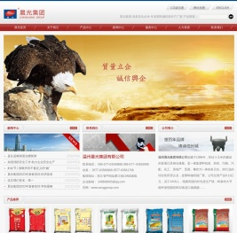 温州晨光集团有限公司