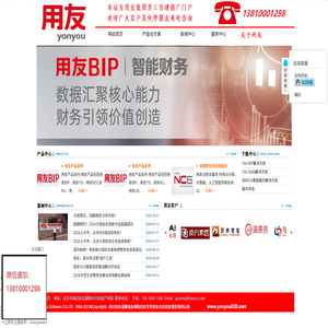 成都用友