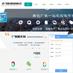 广西黑天鹅科技有限公司