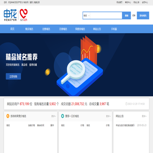 申花知识产权521域名网