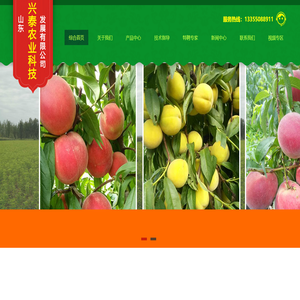 -山东兴泰农业科技发展有限公司