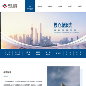 中新融信有限公司