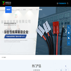 深圳帝拓实业有限公司