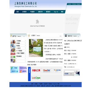 伪