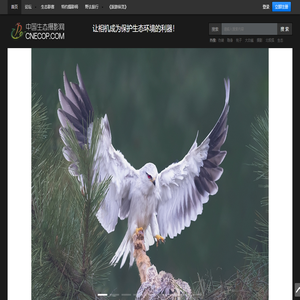 中国生态摄影网