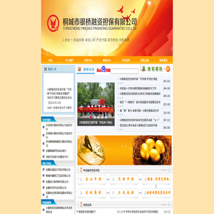 桐城银桥融资担保网