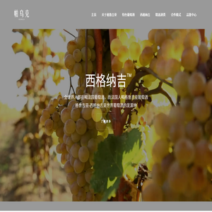 绍兴帕乌克进出口有限公司