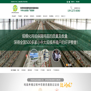 鸡苗