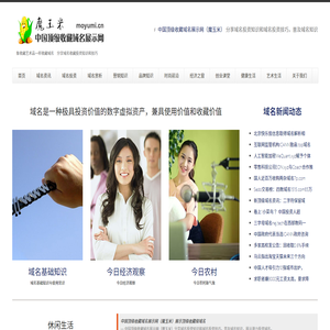 中国顶级收藏域名展示网（魔玉米）