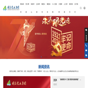 国辰实业集团