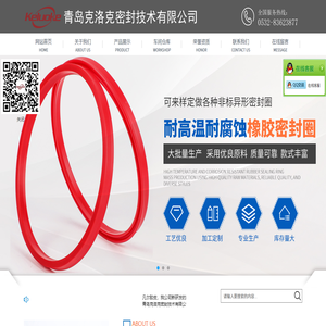 活塞杆密封件,车削密封,定制密封件,超高压密封件,斯特封格莱圈泛塞