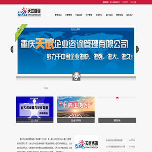 重庆天武企业管理咨询公司