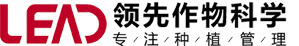 杀虫剂