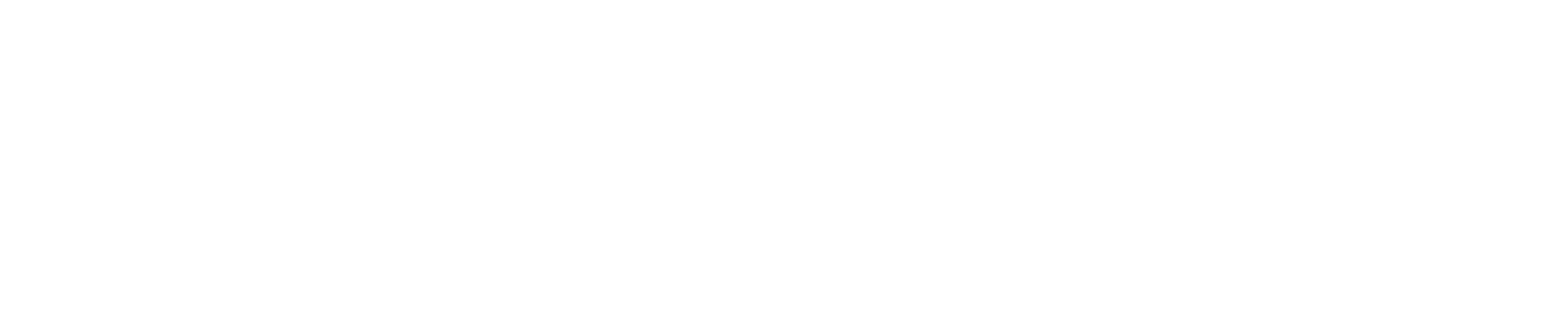WIIKYLE威铠尔美国高性能隐形车衣