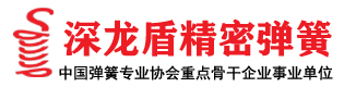 深龙盾弹簧定制加工厂家