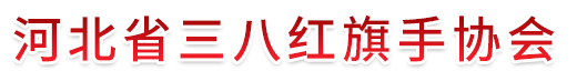 河北省三八红旗手协会
