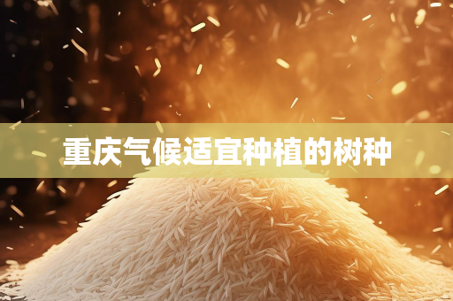 个人气候总结