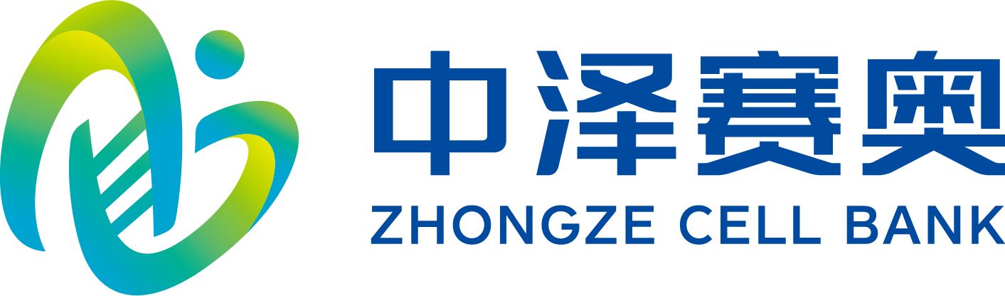 中泽赛奥