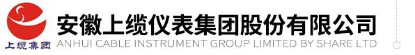 安徽上缆集团