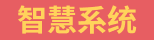 智慧系统