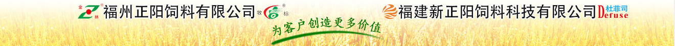 福建新正阳饲料公司