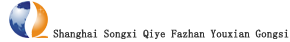 上海松江注册公司