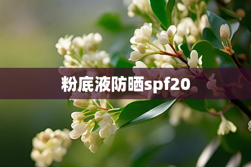美妆网