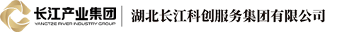 湖北长江科创服务集团有限公司