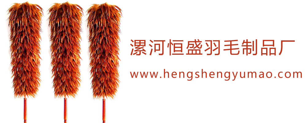 羽毛天空