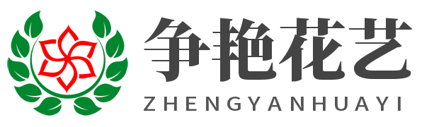 合肥瑶海区争艳花艺商行主营合肥花艺装饰