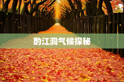 天气报告