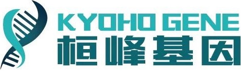 桓峰基因