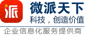 河南微派信息技术有限公司