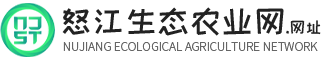 怒江特产