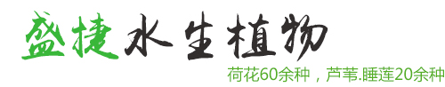 安新县盛捷水生植物种植有限公司