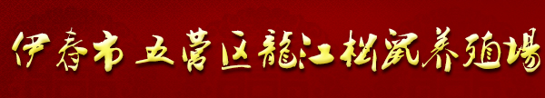 松鼠养殖基地