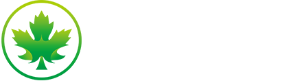森朝照明