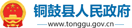 铜鼓县人民政府