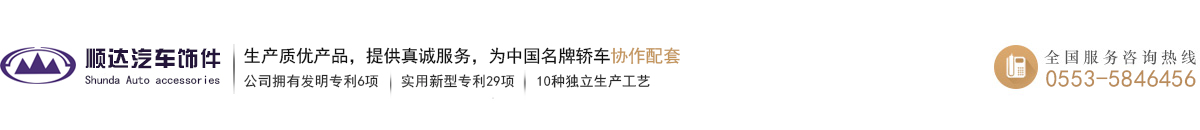 顺达（芜湖）汽车饰件有限公司/顺达汽车饰件