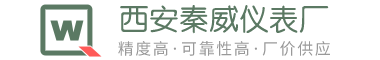 西安水表