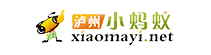 泸州小蚂蚁网站